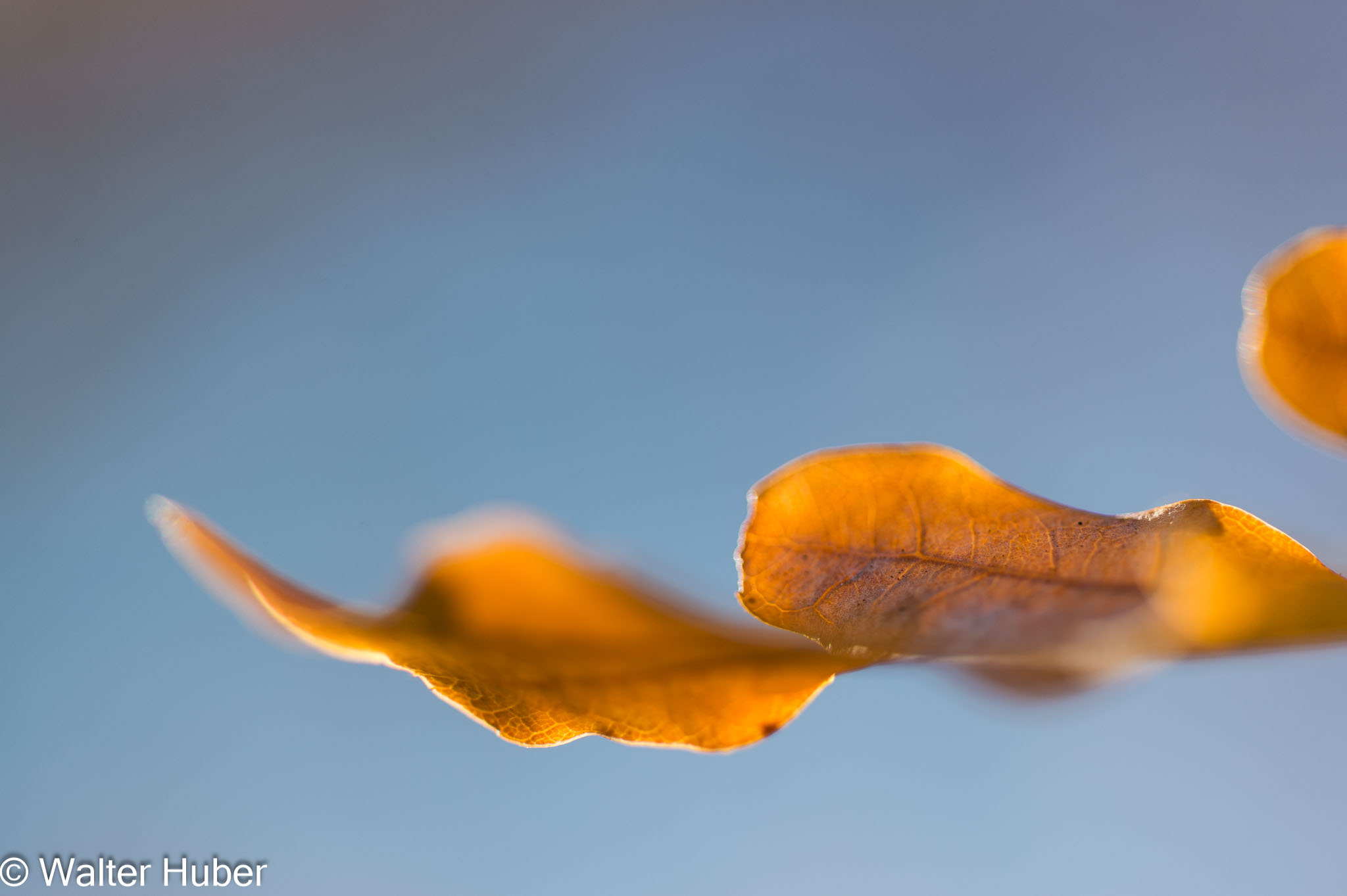 20151105-_DSC9544.jpg