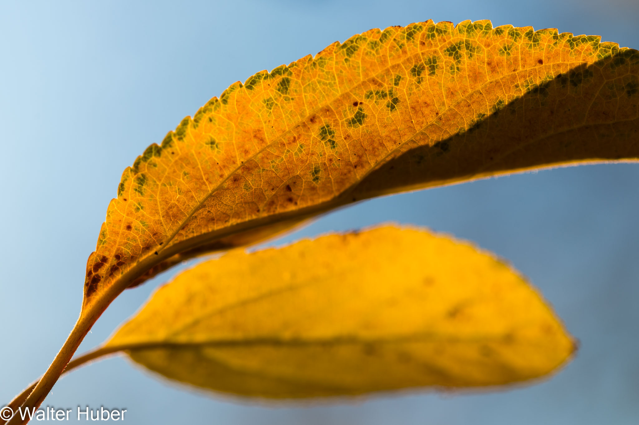 20151105-_DSC9615.jpg